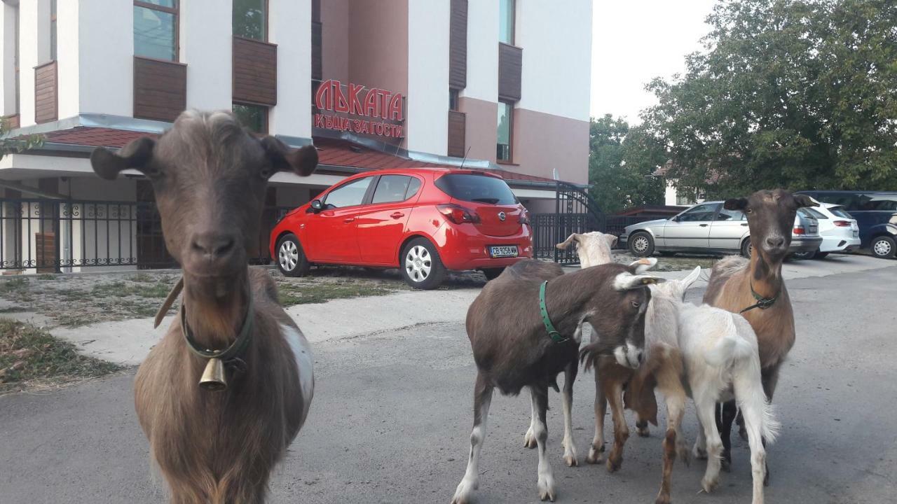Lakata Guest House Zasele Zewnętrze zdjęcie